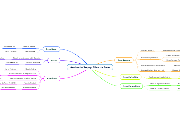 Anatomia Topográfica da Face