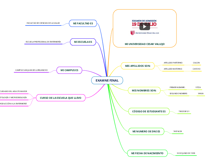 EXAMNE FINAL - Mapa Mental