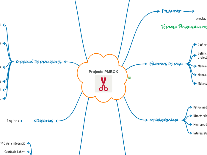 Projecte PMBOK - Mapa Mental