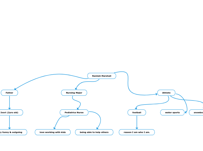  about me concept map