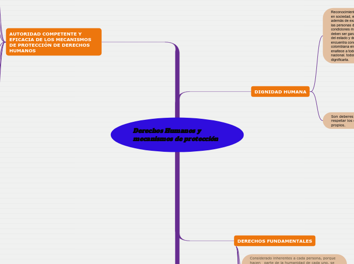 Derechos Humanos y mecanismos de protección