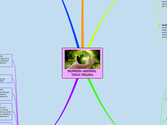 INGENIERÍA AMBIENTAL 
THALIA VERGARA. - Mapa Mental