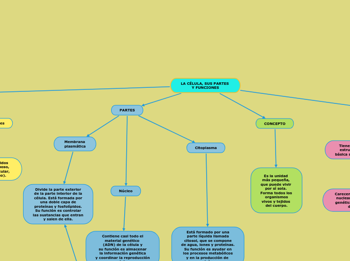 LA CÉLULA, SUS PARTES 
Y FUNCIONES