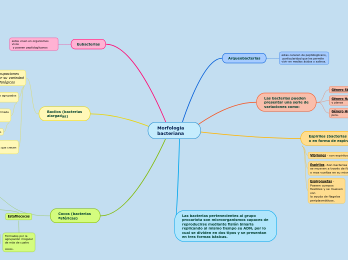 Morfología bacteriana - Mind Map