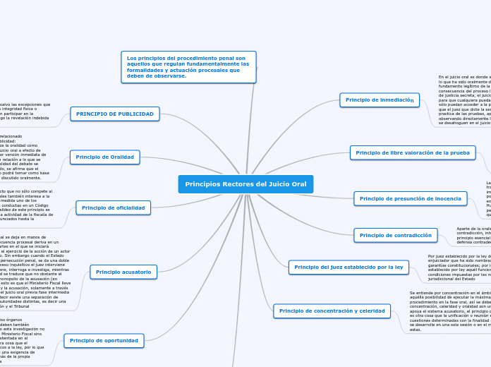 Principios Rectores del Juicio Oral - Mapa Mental