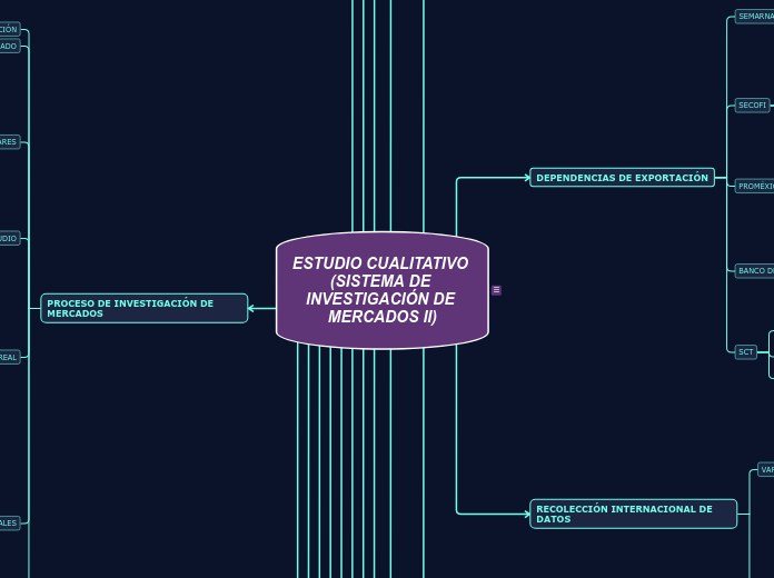 ESTUDIO CUALITATIVO (SISTEMA DE INVESTIGACIÓN DE MERCADOS II)