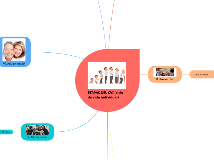 ETAPAS DEL CVI (ciclo de vida individua...- Mapa Mental