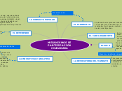 MECANISMOS DE PARTICIPACION CIUDADANA