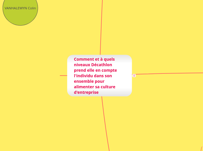 Comment et à quels niveaux Décathlon ...- Carte Mentale