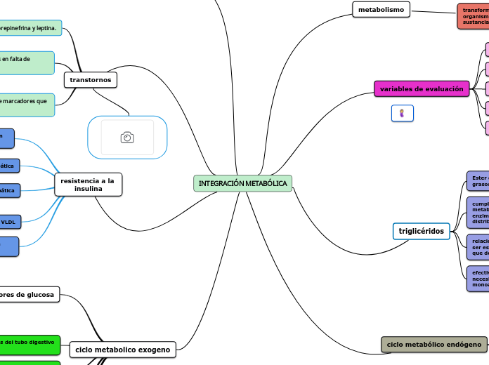 INTEGRACIÓN METABÓLICA