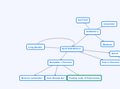 Synthetic Divison - Mind Map