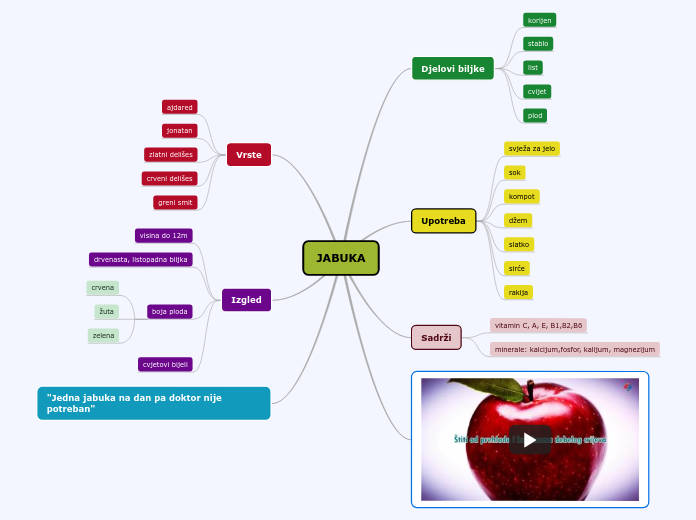 JABUKA - Mind Map