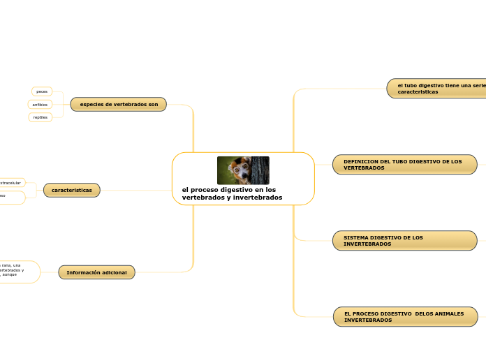 el proceso digestivo en los vertebrados y invertebrados 