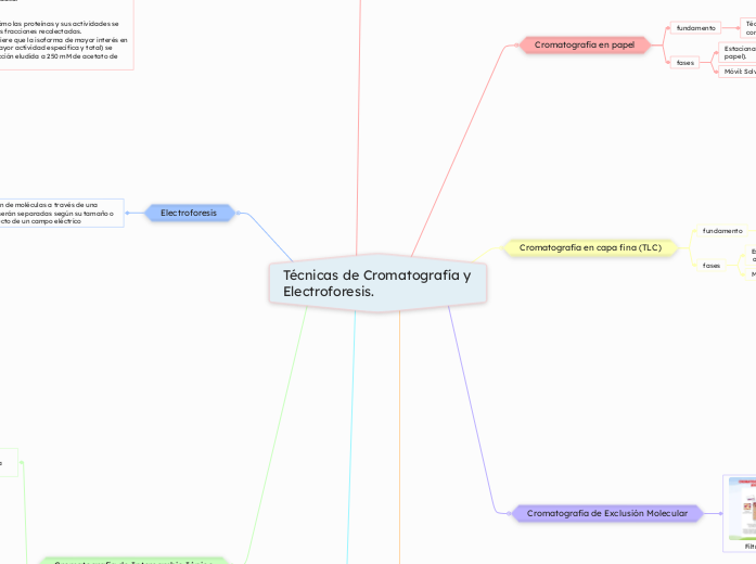Técnicas de Cromatografía y Electroforesis.