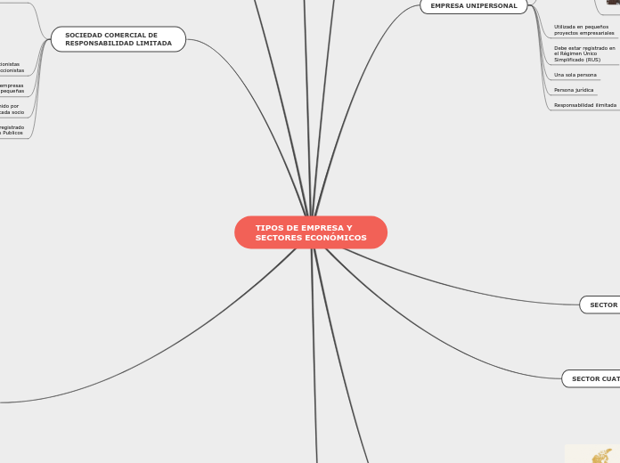 TIPOS DE EMPRESA Y SECTORES EMPRESARIALES