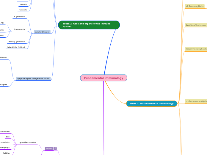 Fundamental immunology - Mind Map