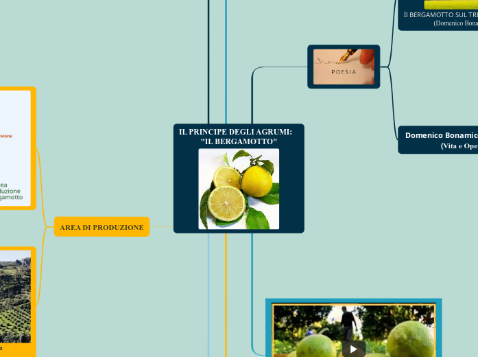IL PRINCIPE DEGLI AGRUMI:            ...- Mappa Mentale