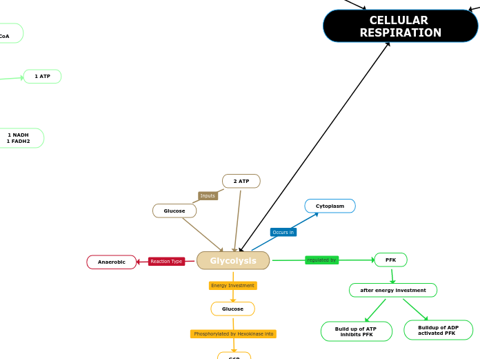 2 ATP - Mind Map