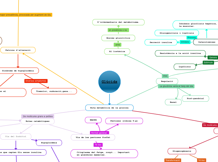 Glúcids - Mapa Mental