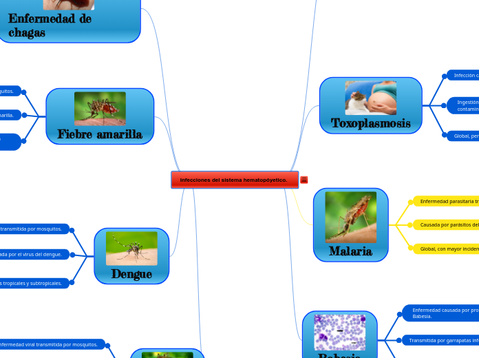 Infecciones del sistema hematopóyetico. - Mapa Mental