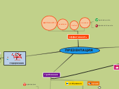 ПРЕЗЕНТАЦИЯ - Мыслительная карта