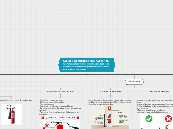 SALUD Y SEGURIDAD OCUPACIONAL
Importanc...- Mapa Mental