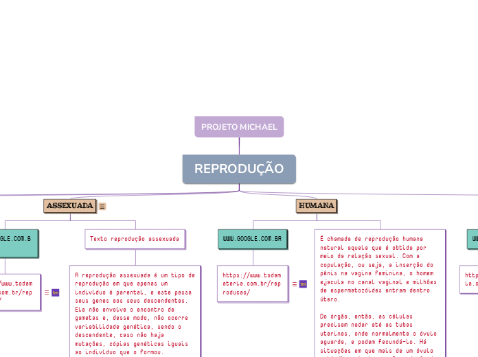 PROJETO MICHAEL - Mapa Mental