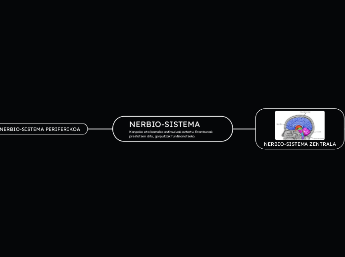 NERBIO-SISTEMA
Kanpoko eta barneko estimul...- Mind Map