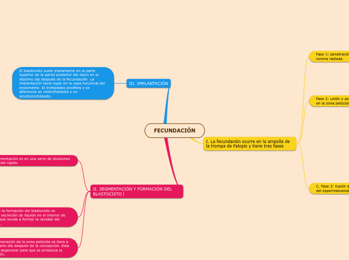 FECUNDACIÓN - Mapa Mental