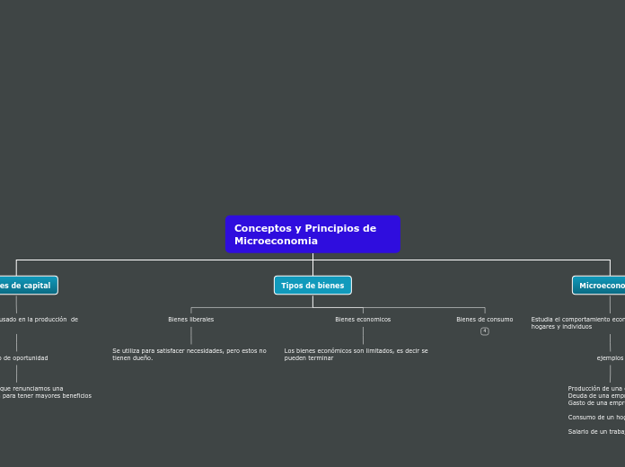 Conceptos y Principios de Microeconomia - Mapa Mental