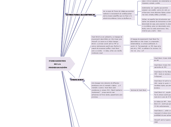 FUNDAMENTOS DE LA PROGRAMACIÓN - Mapa Mental