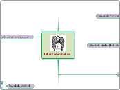 Liberdade Sindical - Mapa Mental