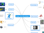 Ramas de la Microbiología - Mapa Mental