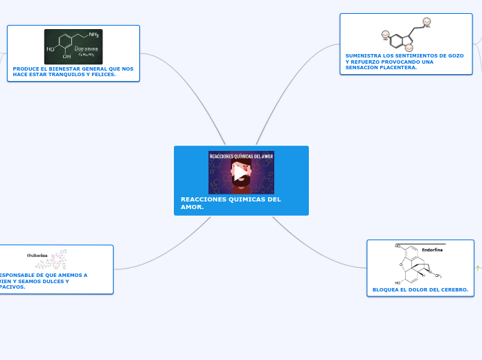 REACCIONES QUIMICAS DEL AMOR. - Mapa Mental