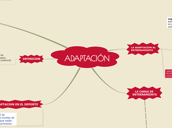 ADAPTACIÓN