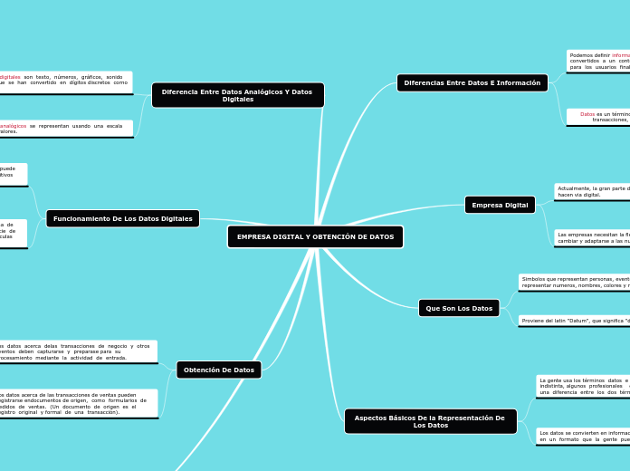 EMPRESA DIGITAL Y OBTENCIÓN DE DATOS - Mapa Mental