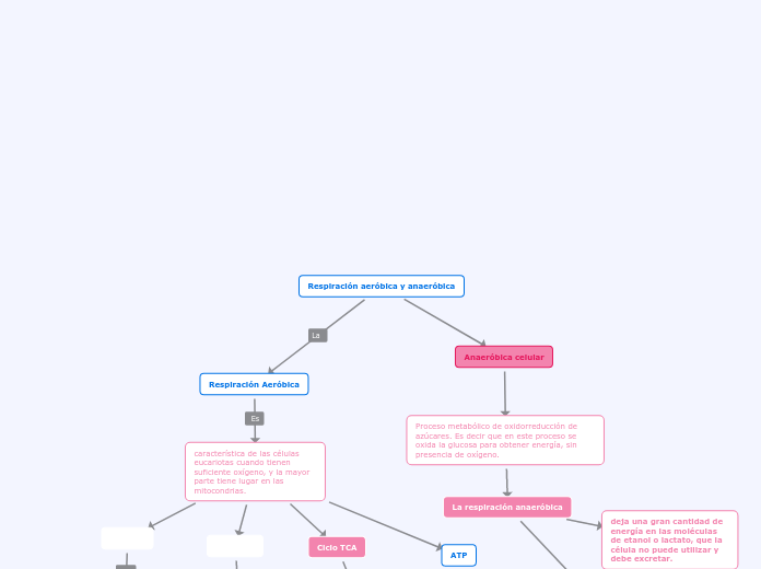 Respiración aeróbica y anaeróbica