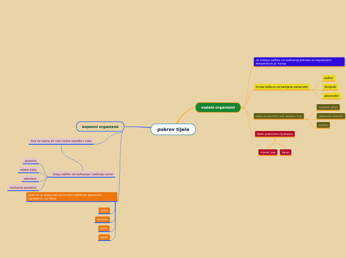 pokrov tijela - Mind Map