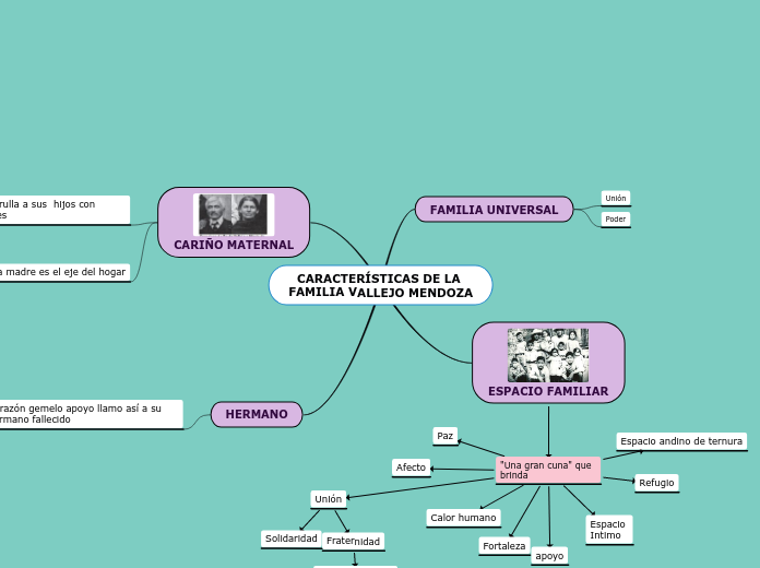 CARACTERÍSTICAS DE LA FAMILIA VALLEJO MENDOZA