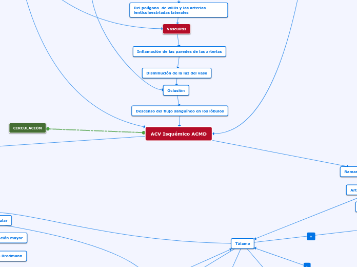 ACV Isquémico ACMD - Mapa Mental