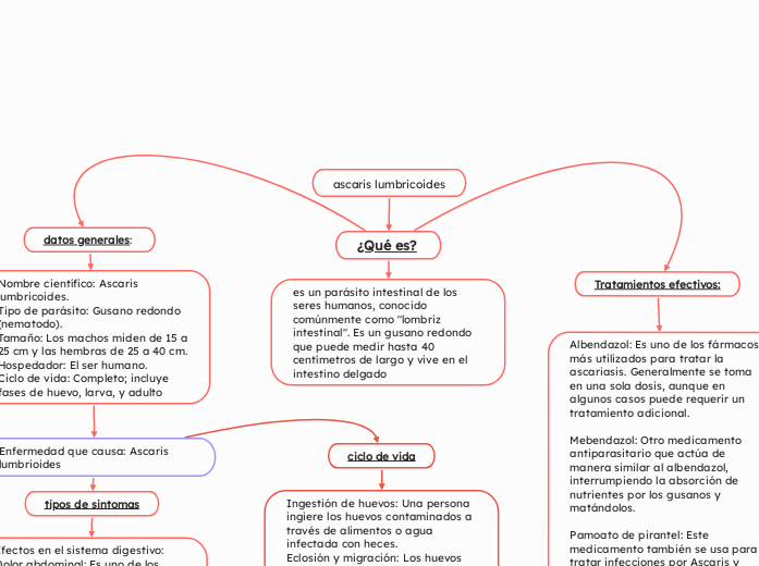 ascaris lumbricoides