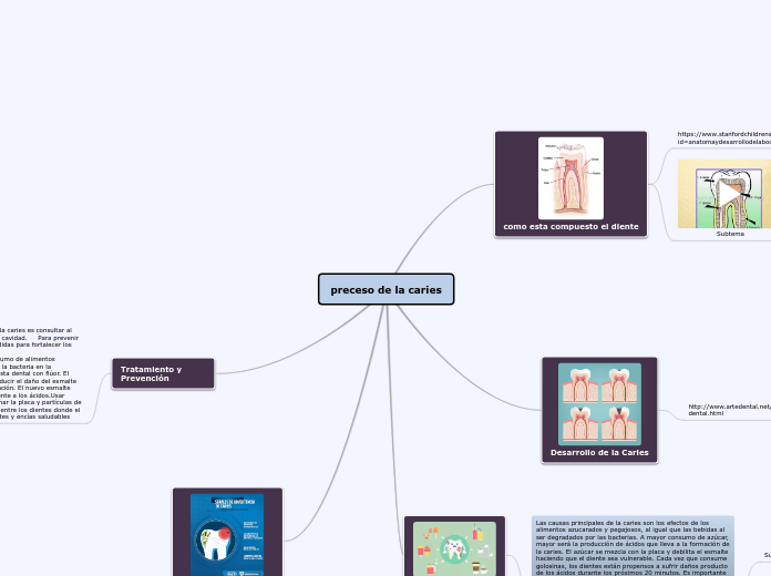 preceso de la caries - Mapa Mental