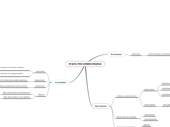 ETAPA PRE-EMBRIONARIA - Mapa Mental