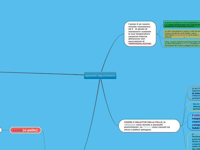 apparato tegumentario - Mappa Mentale