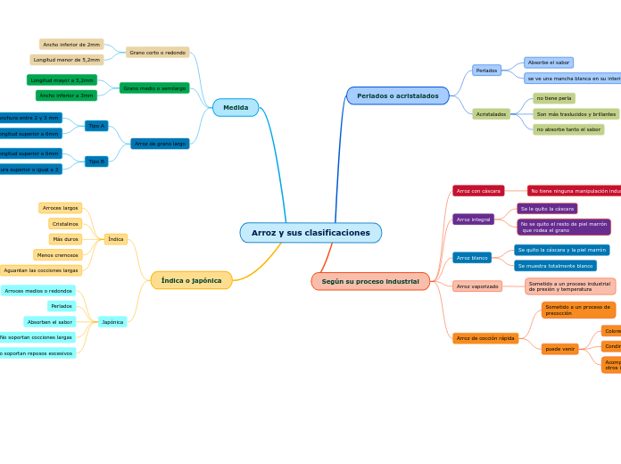 Arroz y sus clasificaciones - Mapa Mental