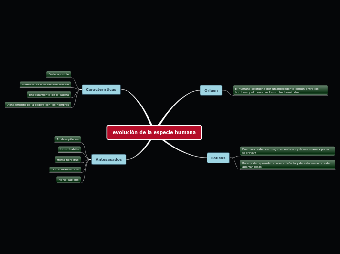 evolución de la especie humana - Mapa Mental