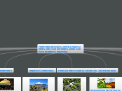 TERMINOLOGÍA UTILIZADA EN EL ESTUDIO DE...- Mapa Mental