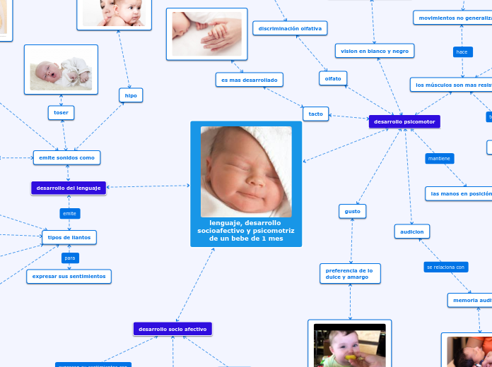 Lenguaje Desarrollo Socioafectivo Y Psico Mind Map