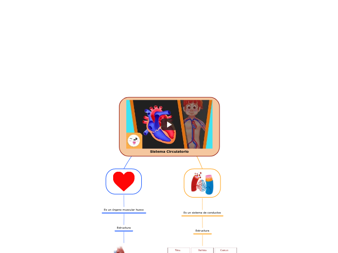 Sistema Circulatorio - Mapa Mental