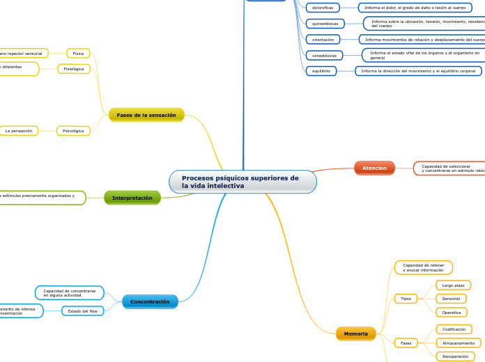 Procesos psíquicos superiores de la vida intelectiva